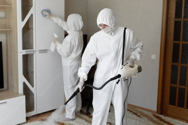 Best Basement Mold Remediation in Ordway, CO